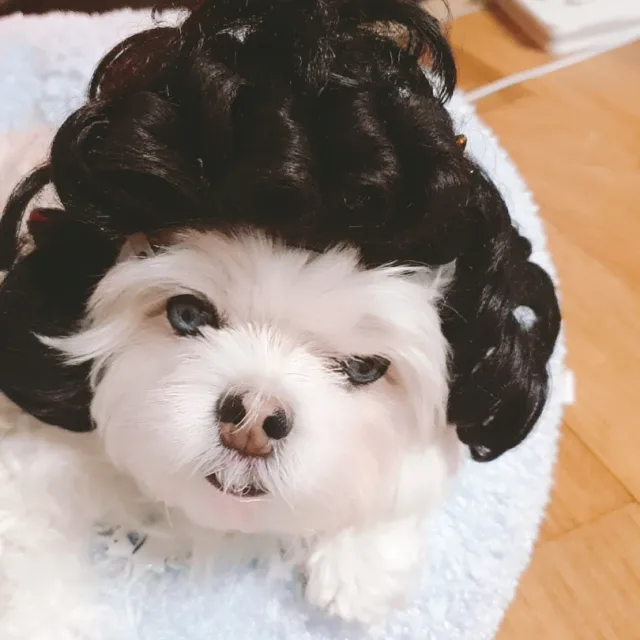아티맘