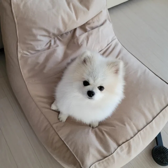 오태지