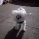 선선