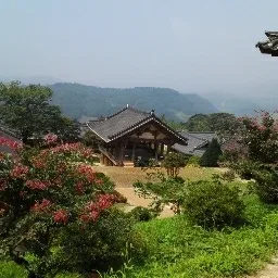 꼬꼬마