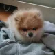 웅이