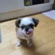 캠핑지기