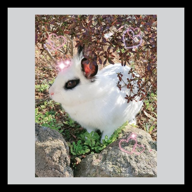 리뷰 프로필 이미지