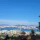 영도