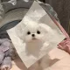 박몽구