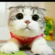 오늘이