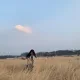정리중