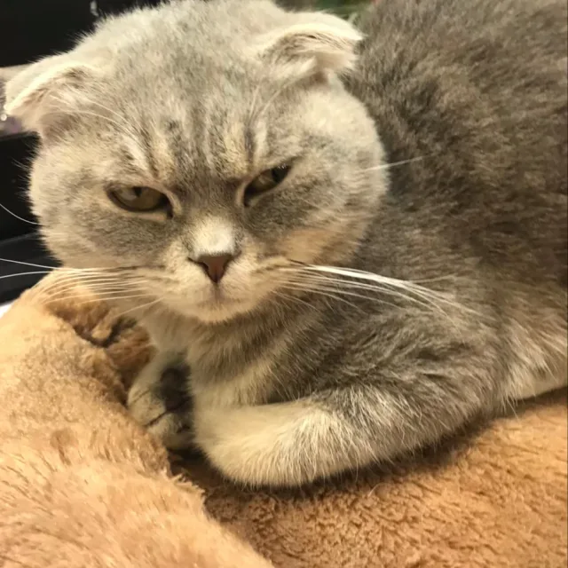 윤느뉨