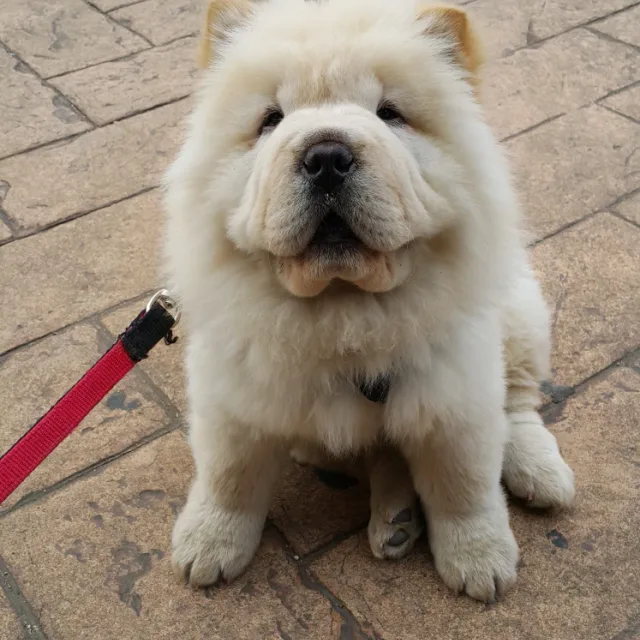 뭉크