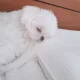 짜기