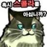 디럭스봄버
