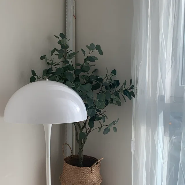 래리