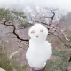 jinailan