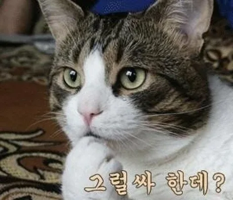 레미