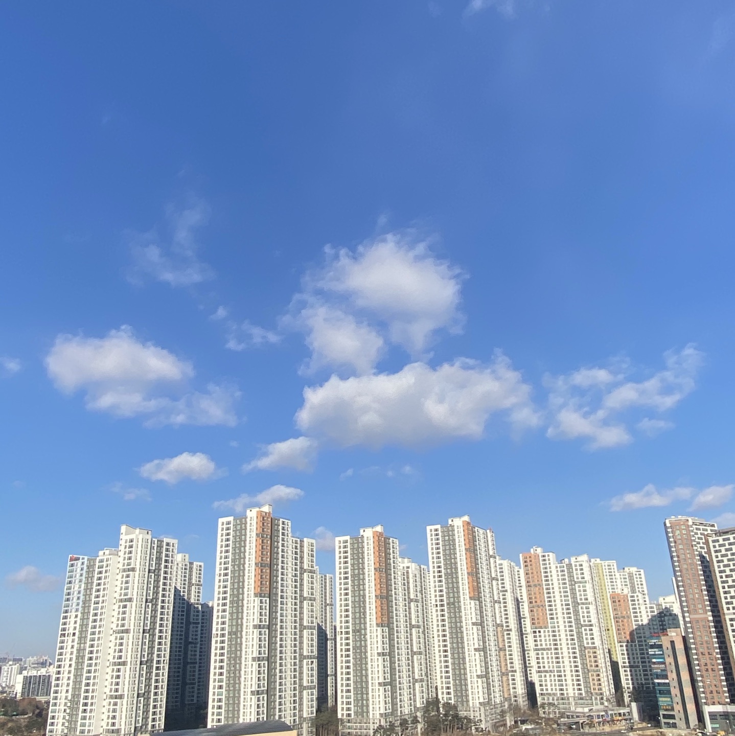 코젠카
