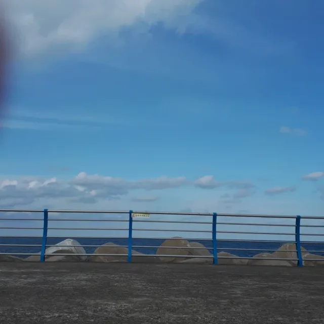 세잎클
