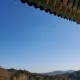 두꺼운장딴지
