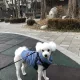 엘리넬리