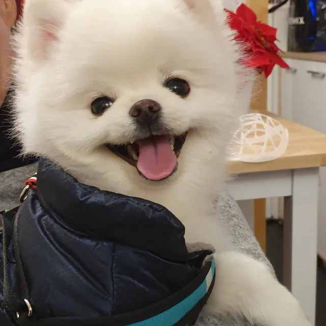길상