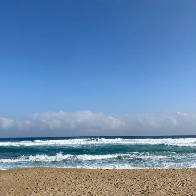 똥그리