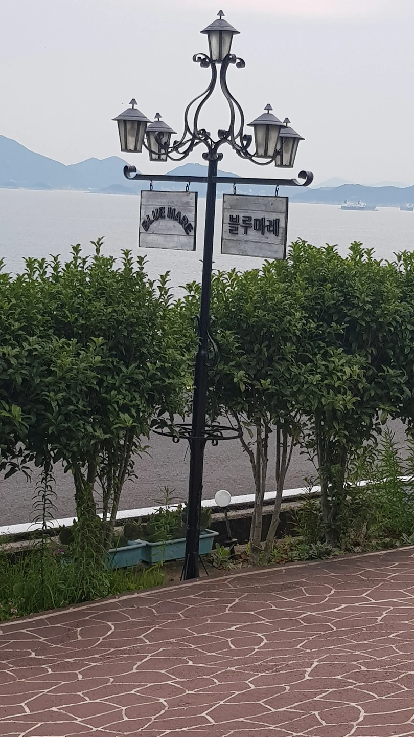 핑퐁