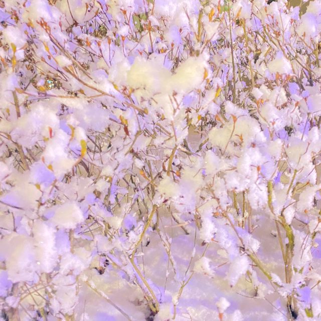 리뷰 프로필 이미지