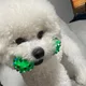 설기네