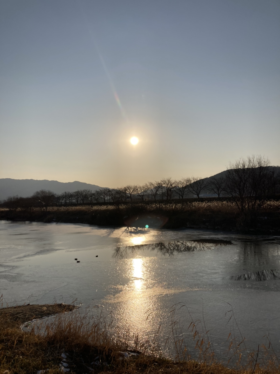 해집