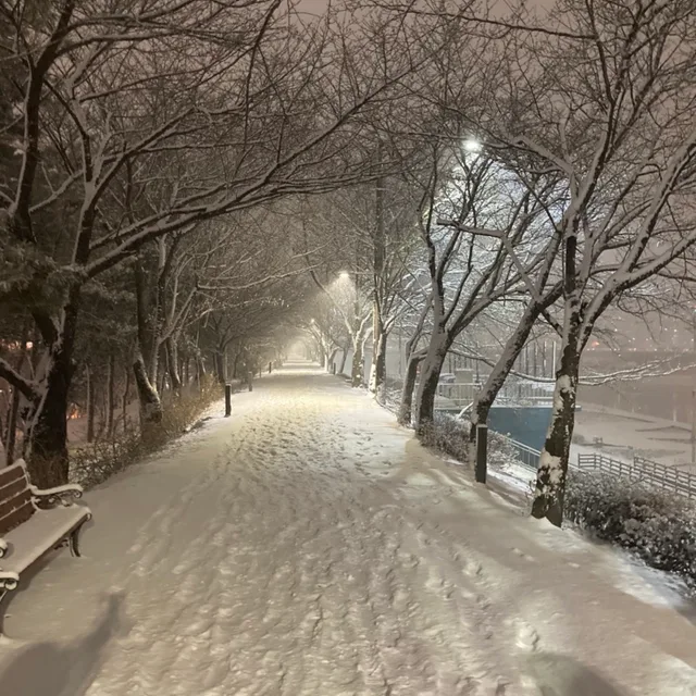어제오늘내일