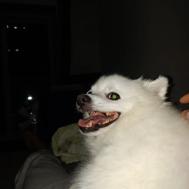 오페라맨