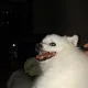 오페라맨