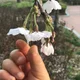 제이