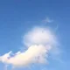 낑깡이