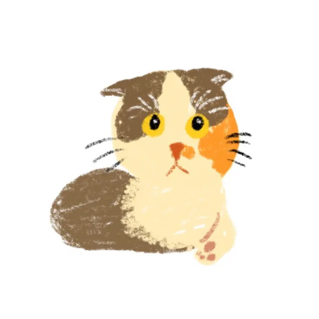 나는있어고양이
