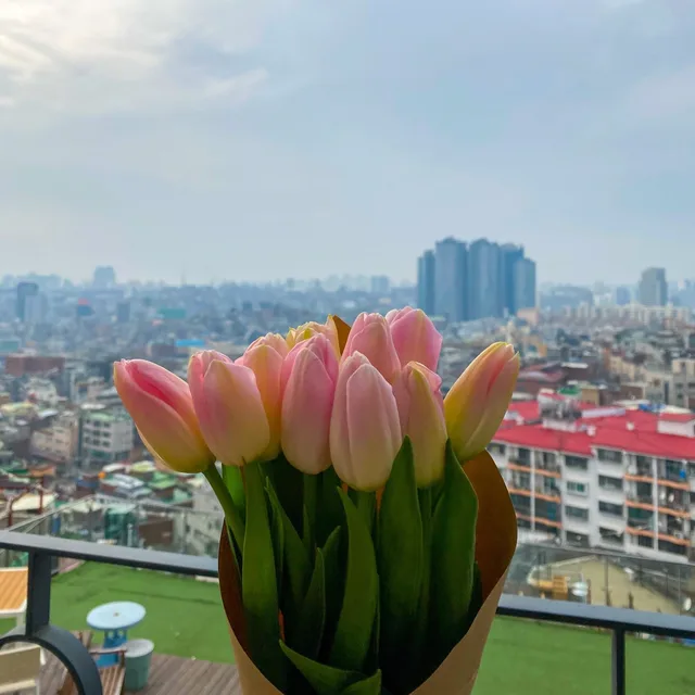 모든지만원