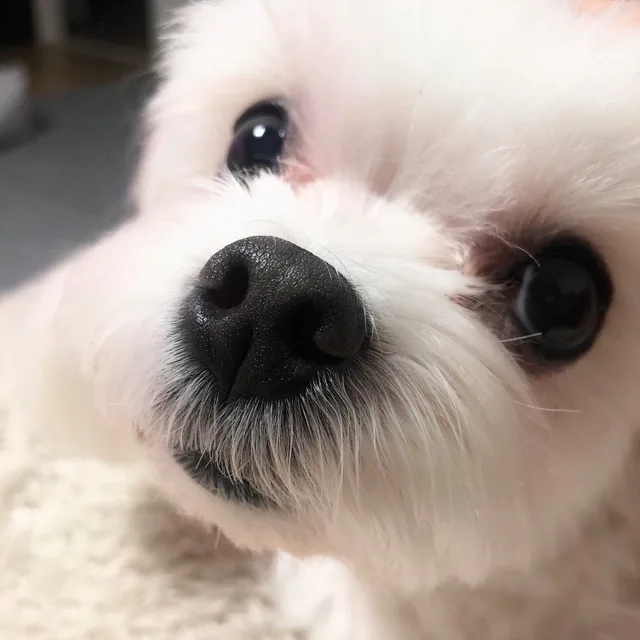 여기쏘