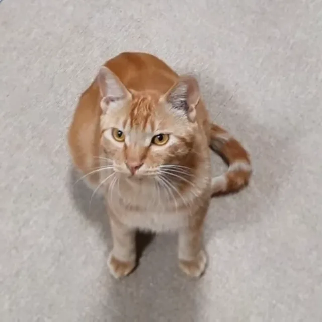 무니