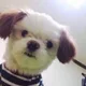 감자왕국