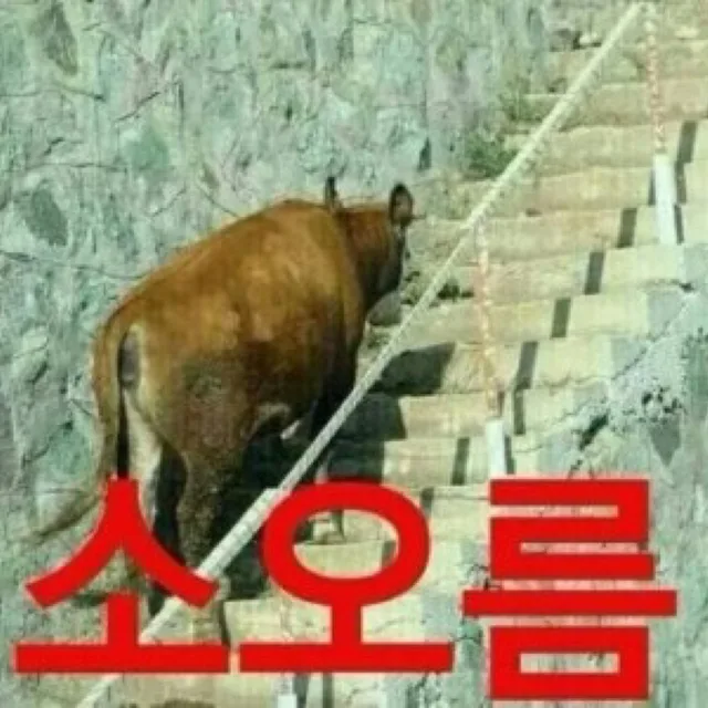 코카콜라