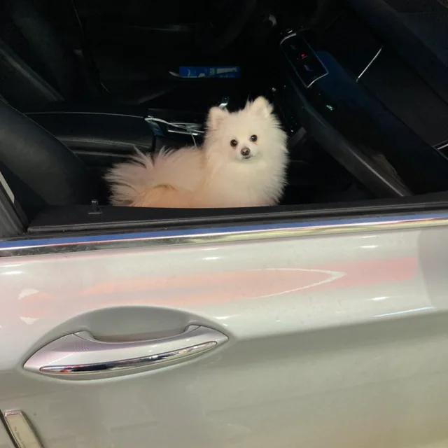 옥정거상