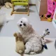 달려조짱
