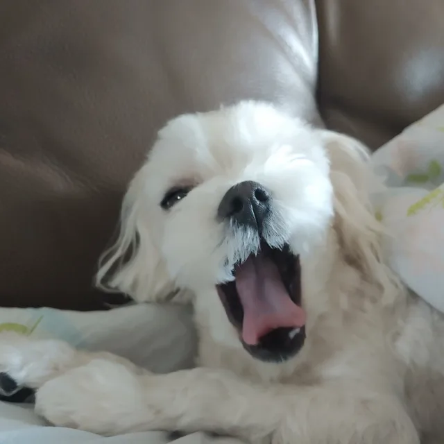 녀리