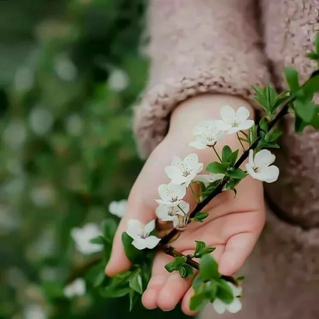 하얀