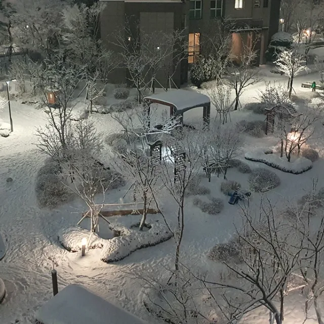 붉은줄