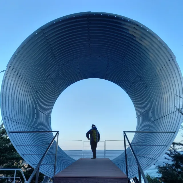 용쓰니