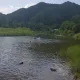 키위바나나