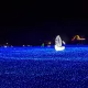 파파팩씨