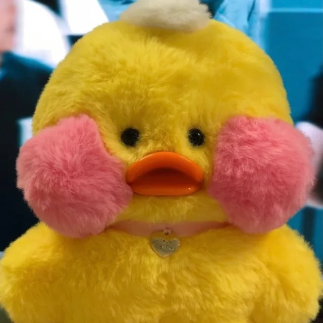 오리