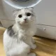 로켓탄아줌마