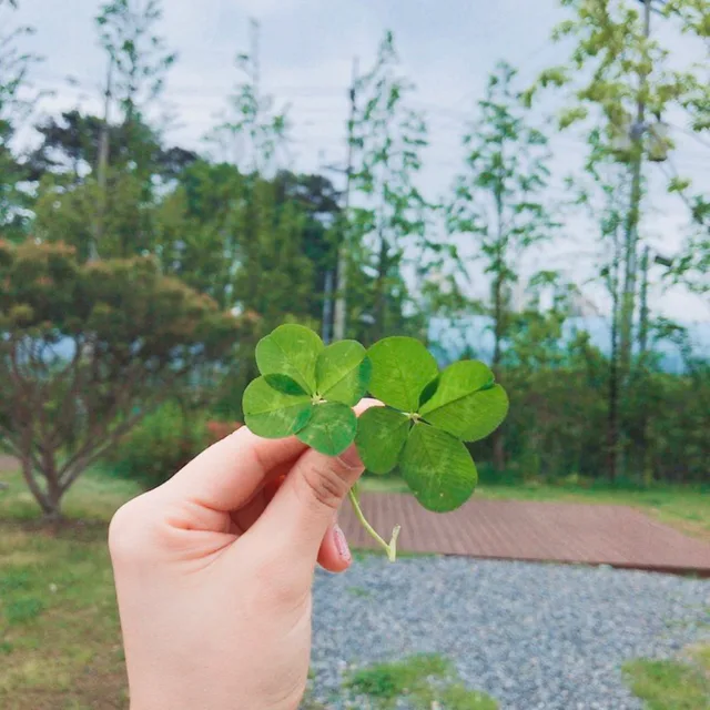 지아